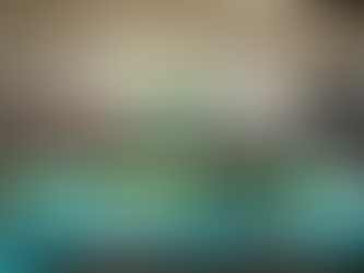 private party room for birthdays at little explorers