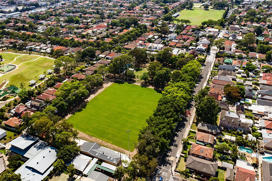 Blair Park Aerial