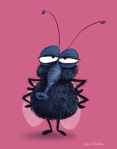 Little Fly1.jpg