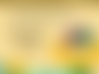 전주군산익산 병원동행서비스