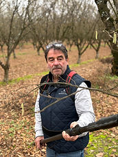 Alain Martinet.jpg