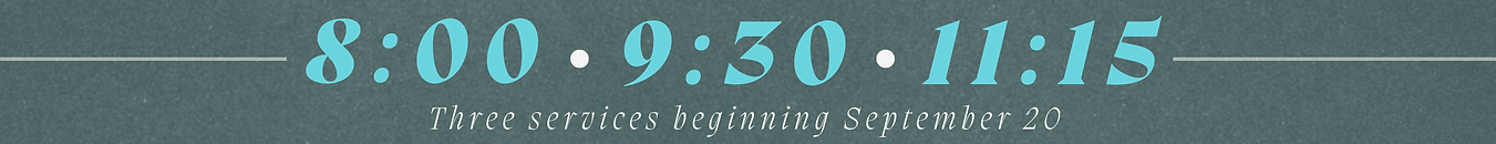 3 Services Banner-2.png