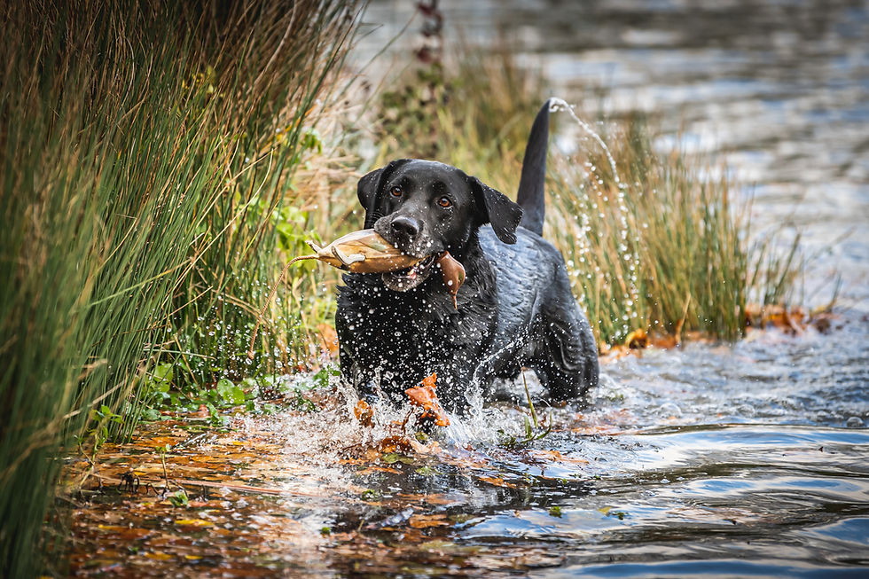 ST Ellena Swift Nov 20-287.jpg