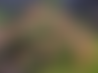 Stiklinger, en enkel måte å overvintre sommerfavorittene