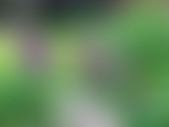 Klimabevvist i egen hage