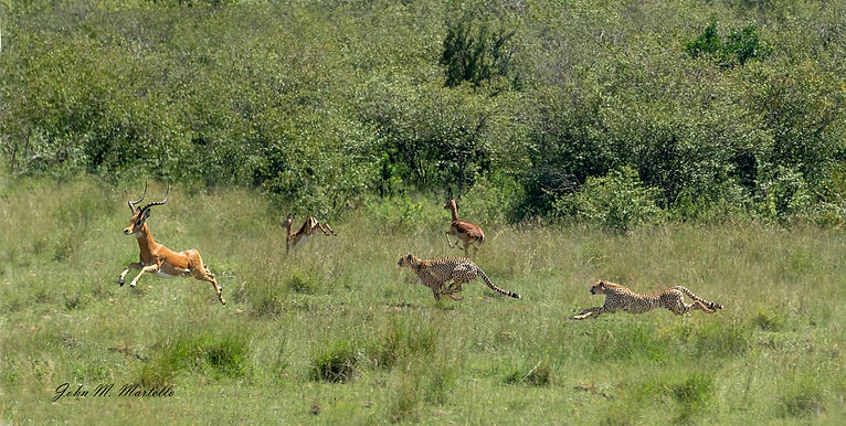 641A0710raw A crop copy.jpg