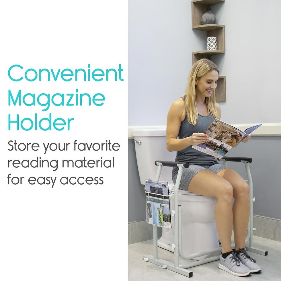 Thumbnail: Stand Alone Toilet Rail