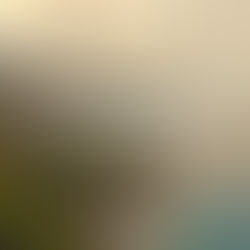 Nuru za Rabi - Shindzuani