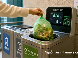 Coreia do Sul transforma 'fonte de emissão' de metano em recurso para a economia circular.