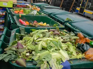 Quase 58 quilos de alimentos vão para o lixo a cada segundo em Portugal