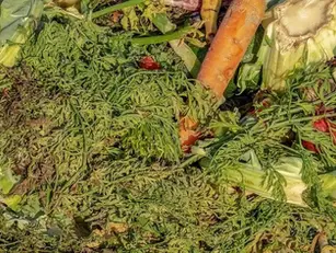 Dia Internacional da Consciencialização sobre Perdas e Desperdício Alimentar: Portugal desperdiça 58 quilos de alimentos por segundo