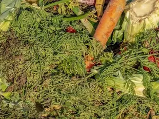 Dia Internacional da Consciencialização sobre Perdas e Desperdício Alimentar: Portugal desperdiça 58 quilos de alimentos por segundo