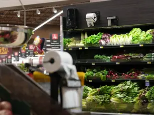 Como evitar o desperdício alimentar? Testámos uma aplicação e falámos com uma especialista