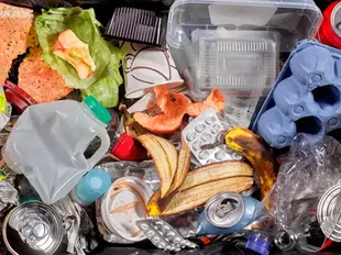 Desperdício alimentar custa em média 300 euros por pessoa em Portugal