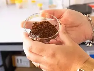 Investigadoras portuguesas dão nova utilidade às borras de café