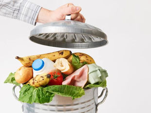 Desperdício alimentar: um combate urgente