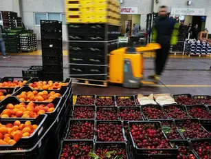 Ambientalistas lançam plataforma para prevenir desperdício alimentar