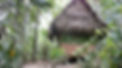 Mi casa in the jungle for 11 days Beautiful but go.jpeg