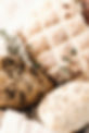 kaboompics_slovenian-bread-buns-18020 (1)_edited.jpg