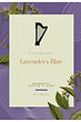 Lavender's blue.jpg