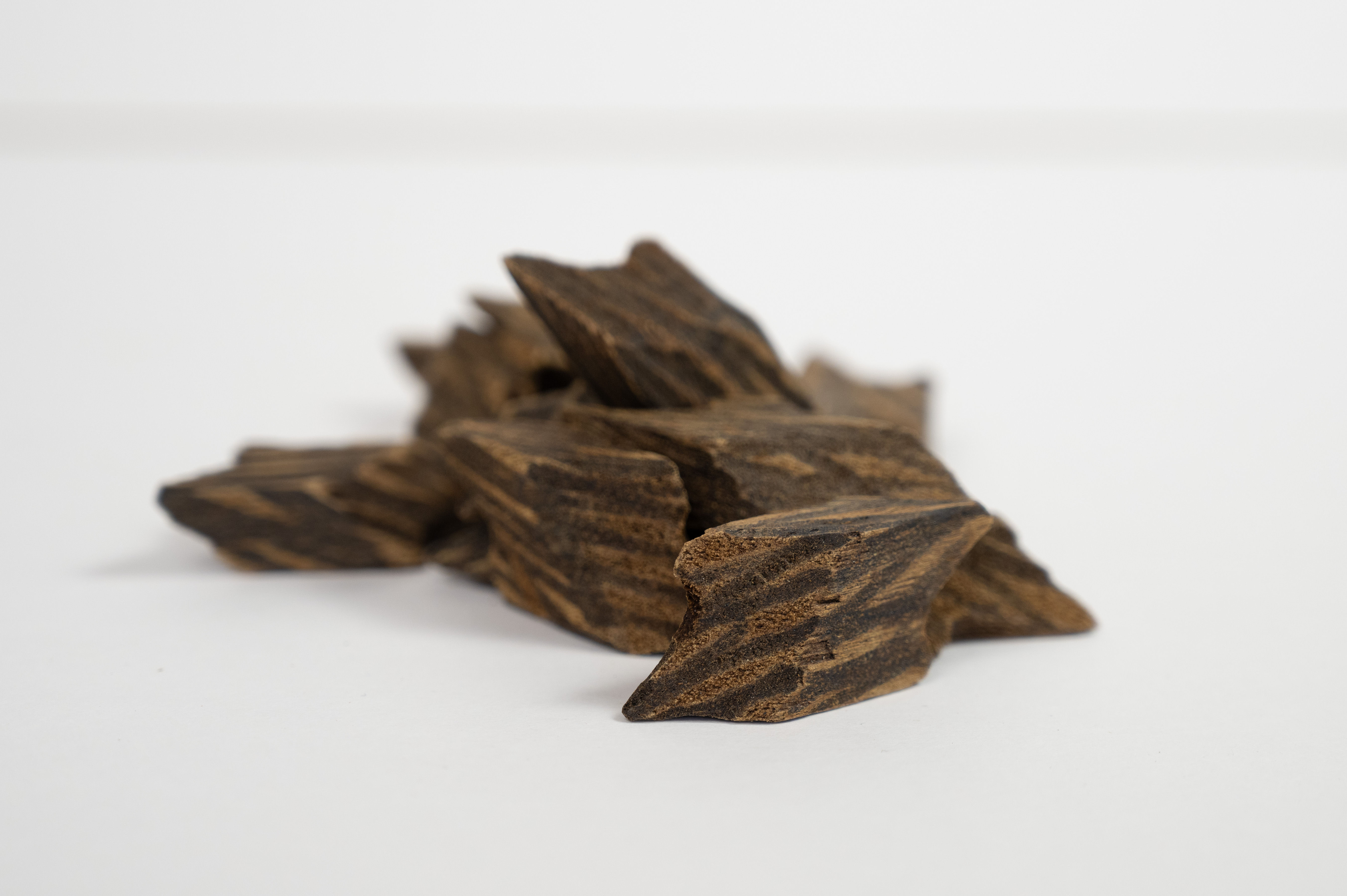 Ember Tyger Oud Collection: (Arbol de plantación sostinible)