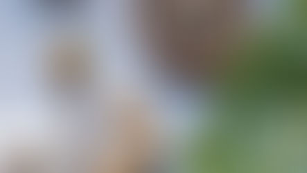 10 Natural Cold & Flu Remedies