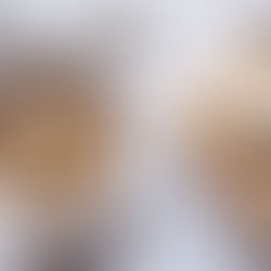 Cacao Quinoa Porridge