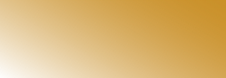Asset 24.png