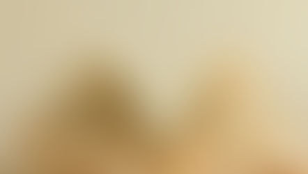 MDPI Booksのご案内～オープンアクセス学術書籍出版プラットフォーム