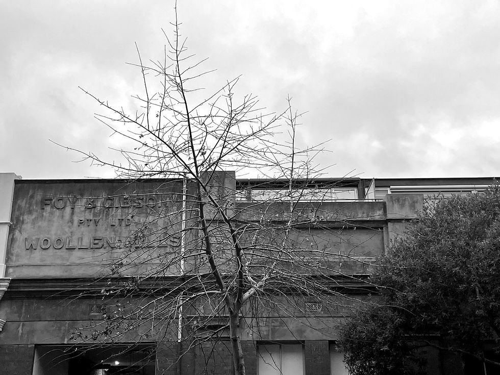 IMG_8878_edited.jpg