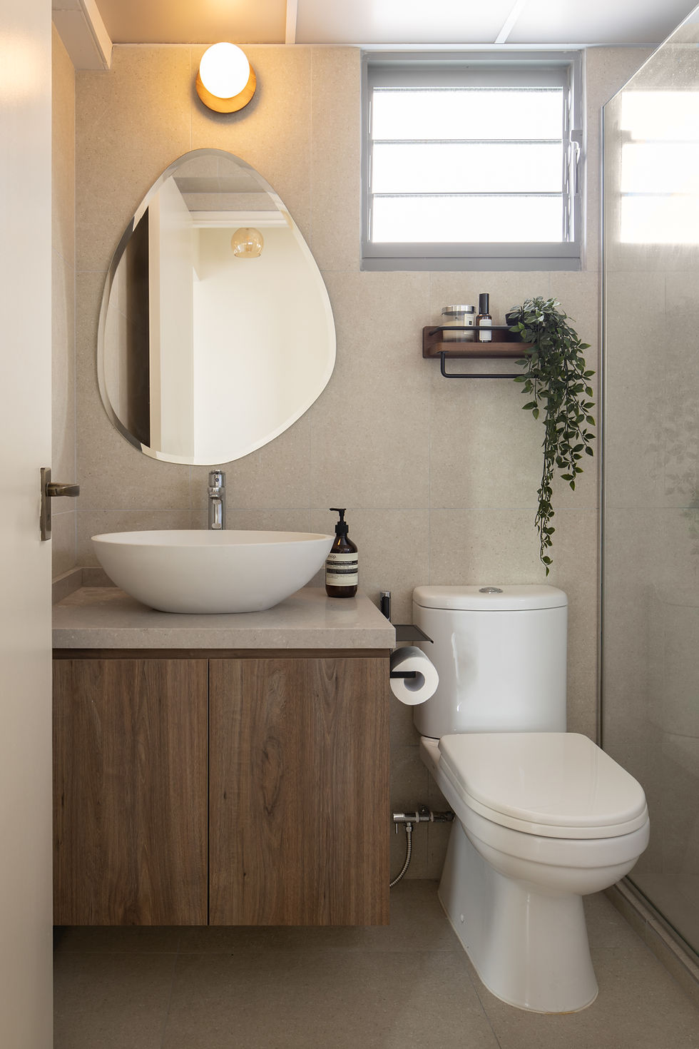 Modern bathroom with round sink, wooden cabinet, and toilet. Oval mirror reflects light from a round fixture. Small shelf with plants. Bright, tidy ambiance.