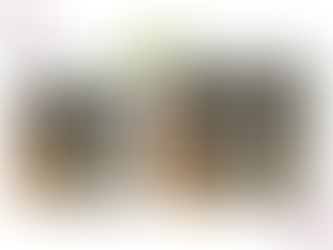 ビルトイン食洗器交換工事