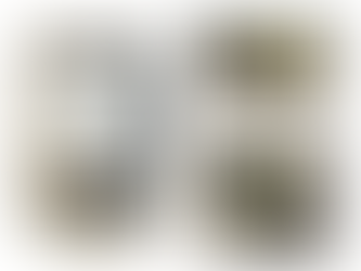 ガス給湯器の交換施工事例