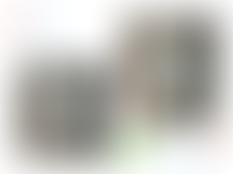 トイレ本体の交換施工事例