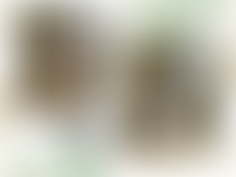 トイレの交換施工事例