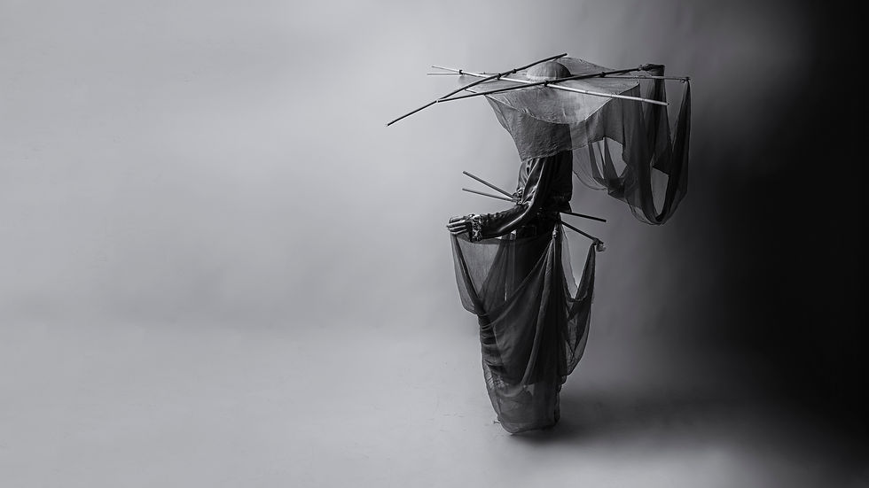 20250416-_DSC6387-Edit-Edit-Edit.jpg