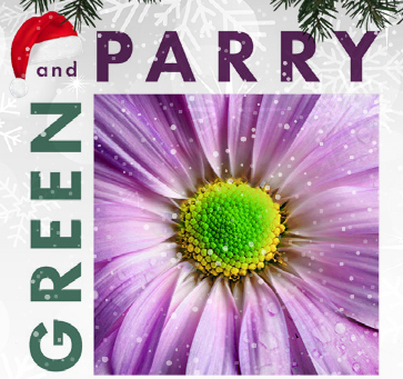 Christmas Opening Hours