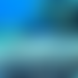 ¿Dónde bucear en México?: En el segundo arrecife de coral más grande del mundo.