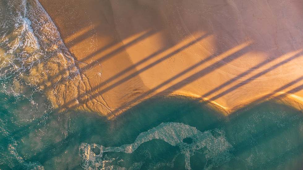 Gold Coast-25.jpg