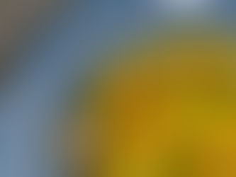 Kylling i karry-kokos & brune ris