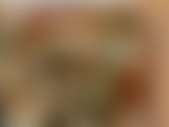 Grøntsags lasagne med spinat