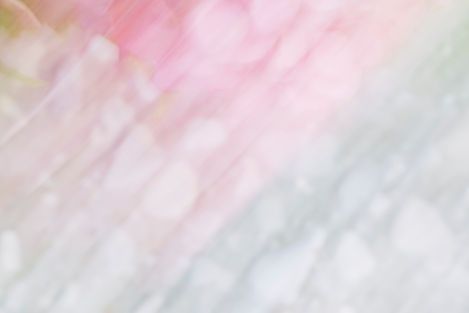 AdobeStock_466531954.jpeg