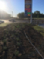 Commercial Site