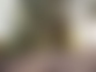 Wedding string lights rental Utah with café lights overhead at sunset.