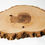 Thumbnail: Natural wood slice with bark edge and visible growth rings on white background