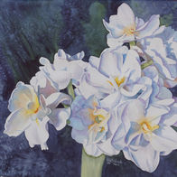 Are You a Narcissus?