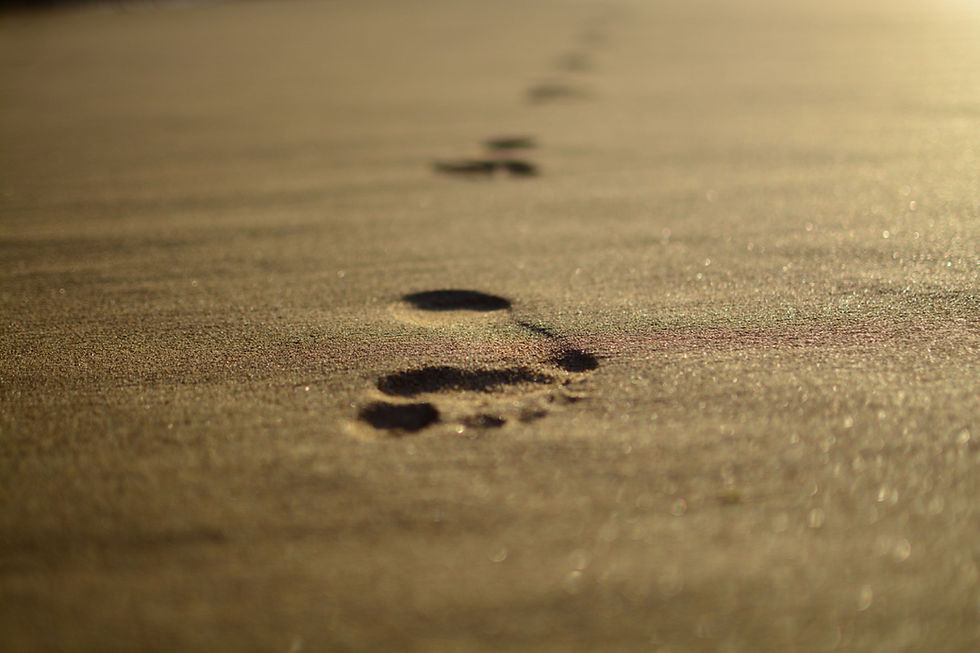 AdautoMenezes - 44.jpg