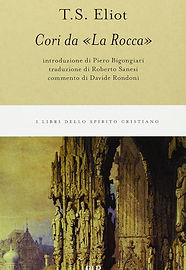 71hPIZj+7vL._AC_UF1000,1000_QL80_ (1).jpg
