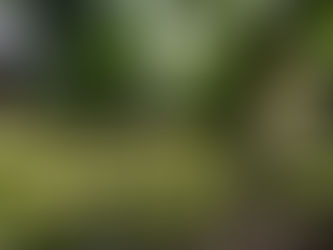 ホームページ開設いたしました。