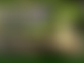 Sábado 9 de septiembre 2017 / Media Jornada de Zazen